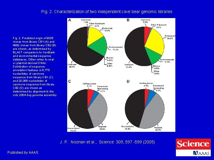 Fig. 2. Characterization of two independent cave bear genomic libraries Fig. 2. Predicted origin