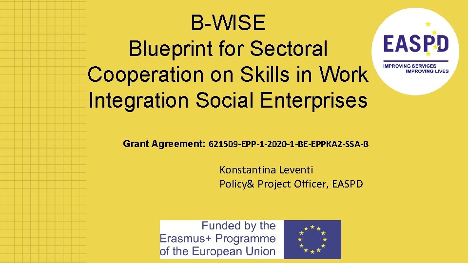 B-WISE Blueprint for Sectoral Cooperation on Skills in Work Integration Social Enterprises Grant Agreement: