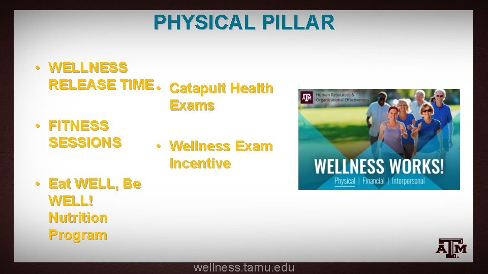 PHYSICAL PILLAR • WELLNESS RELEASE TIME • Catapult Health Exams • FITNESS SESSIONS •