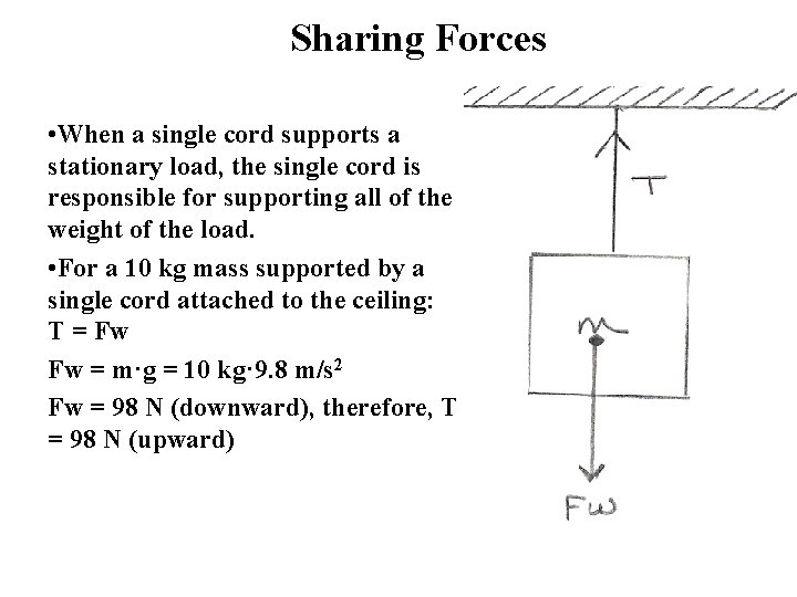 Sharing Forces • When a single cord supports a stationary load, the single cord