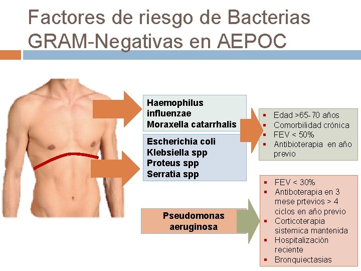 Factores de riesgo de Bacterias GRAM-Negativas en AEPOC Haemophilus influenzae Moraxella catarrhalis Escherichia coli