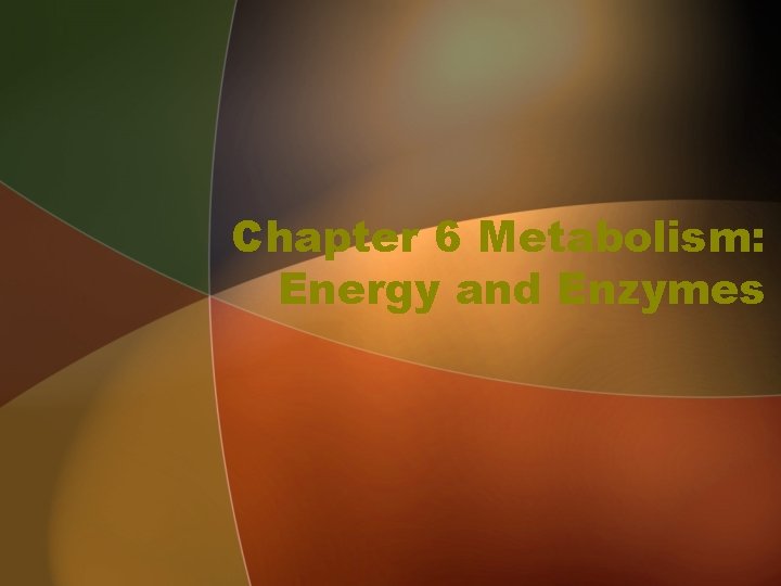 Chapter 6 Metabolism: Energy and Enzymes 