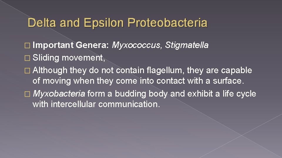 Delta and Epsilon Proteobacteria � Important Genera: Myxococcus, Stigmatella � Sliding movement, � Although