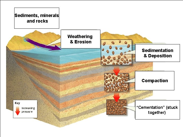 Sedimentary Rock Recipe Sediments, minerals and rocks 1. Start at the Surface 2. Weather