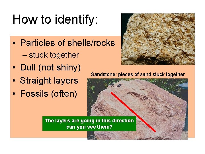 How to identify: • Particles of shells/rocks – stuck together • Dull (not shiny)