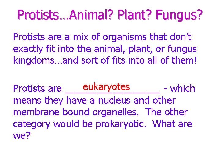 Protists…Animal? Plant? Fungus? Protists are a mix of organisms that don’t exactly fit into