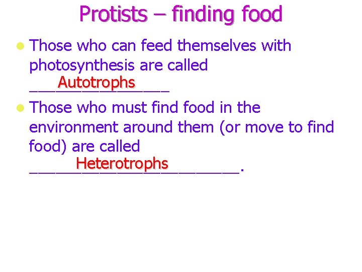 Protists – finding food l Those who can feed themselves with photosynthesis are called