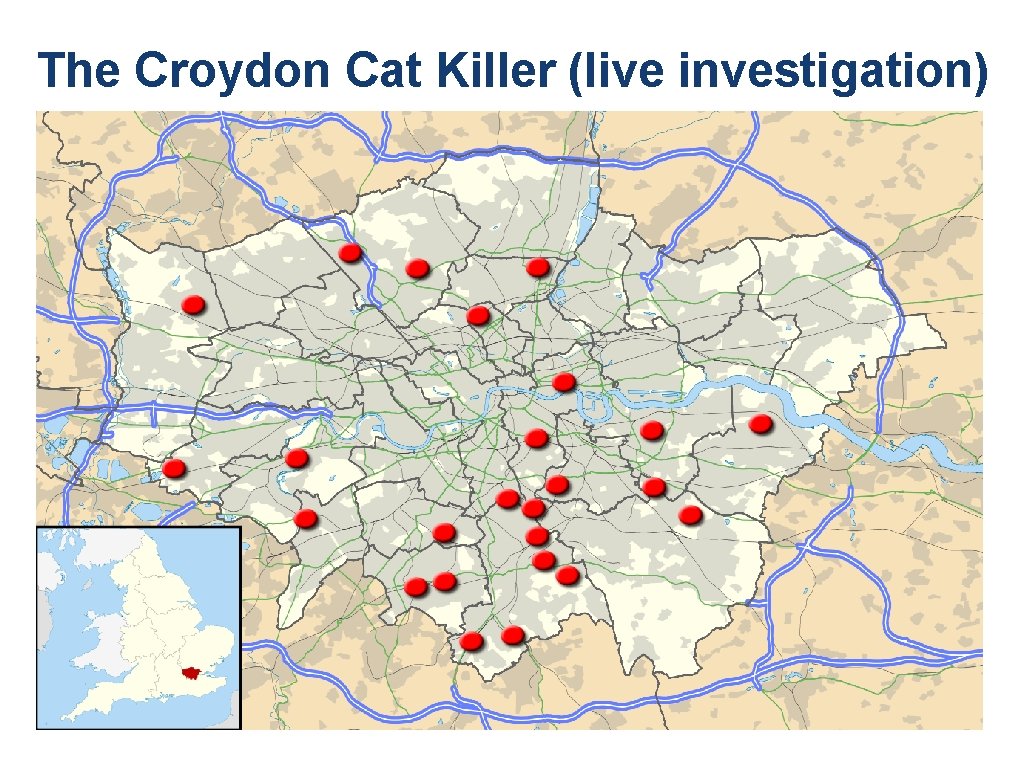 The Croydon Cat Killer (live investigation) The Croydon Cat Killer (live investigation)