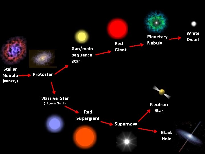 Sun/main sequence star Stellar Nebula Red Giant Planetary Nebula Protostar (nursery) Massive Star Neutron