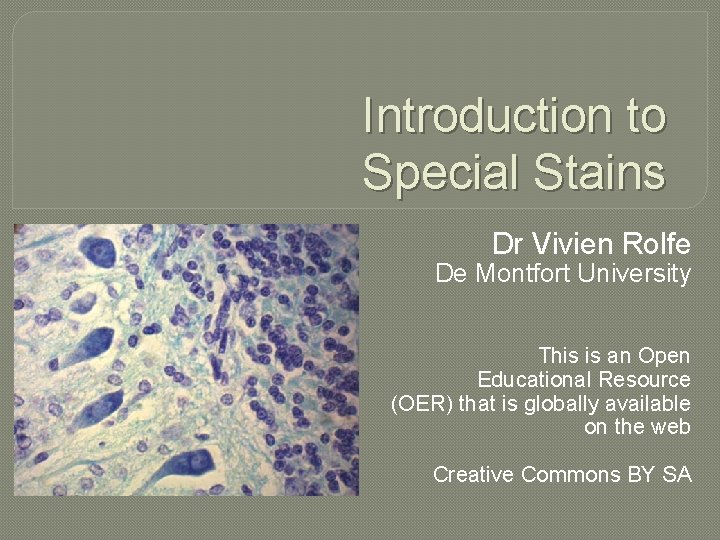 Introduction to Special Stains Dr Vivien Rolfe De Montfort University This is an Open