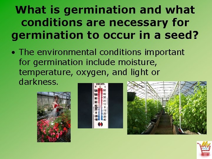 What is germination and what conditions are necessary for germination to occur in a