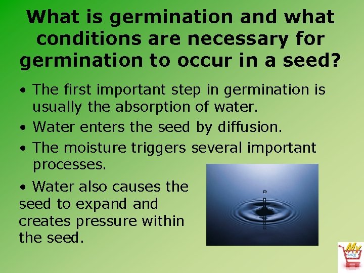 What is germination and what conditions are necessary for germination to occur in a