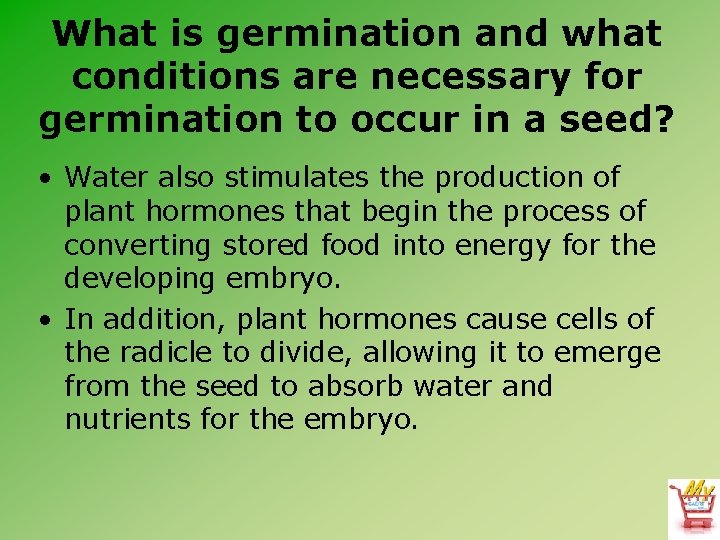 What is germination and what conditions are necessary for germination to occur in a