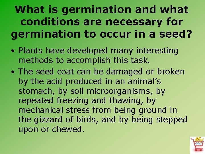 What is germination and what conditions are necessary for germination to occur in a
