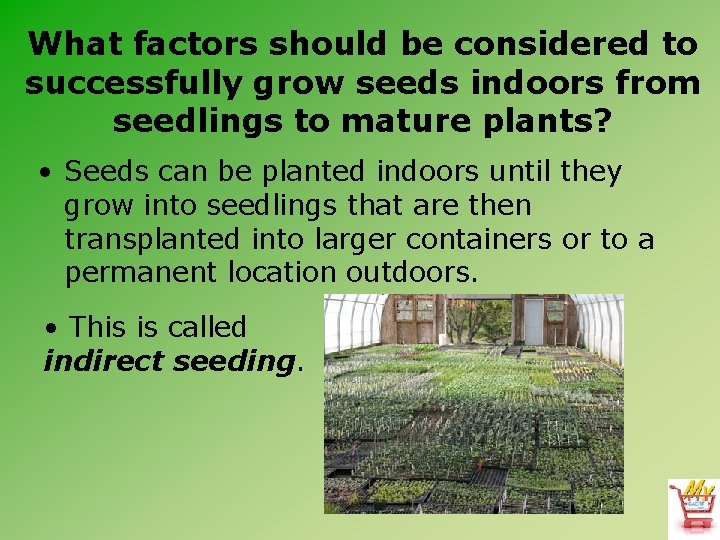 What factors should be considered to successfully grow seeds indoors from seedlings to mature