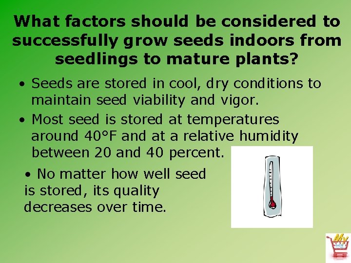 What factors should be considered to successfully grow seeds indoors from seedlings to mature