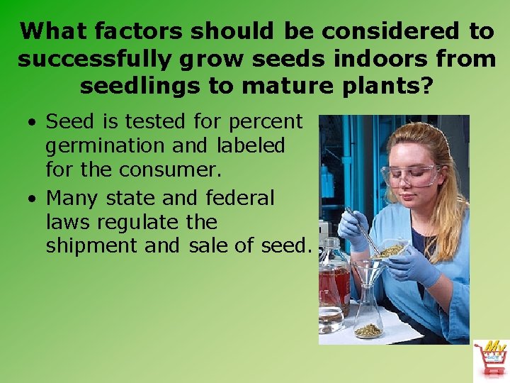 What factors should be considered to successfully grow seeds indoors from seedlings to mature