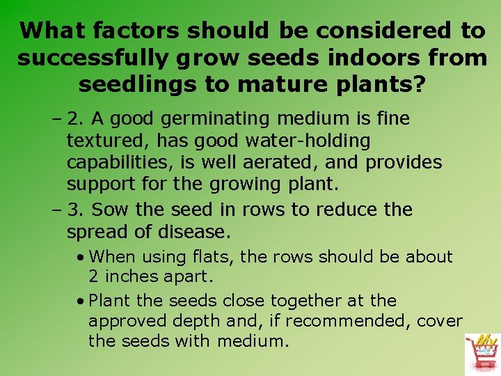 What factors should be considered to successfully grow seeds indoors from seedlings to mature