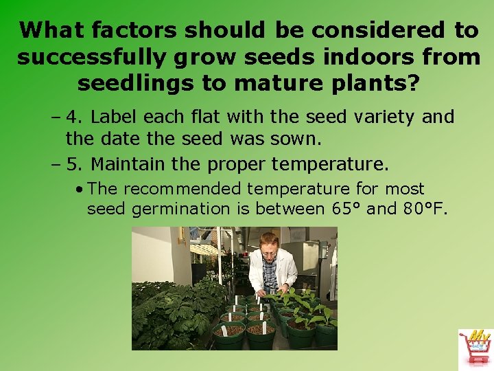 What factors should be considered to successfully grow seeds indoors from seedlings to mature