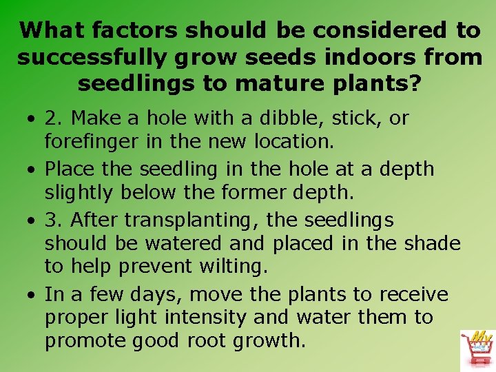 What factors should be considered to successfully grow seeds indoors from seedlings to mature