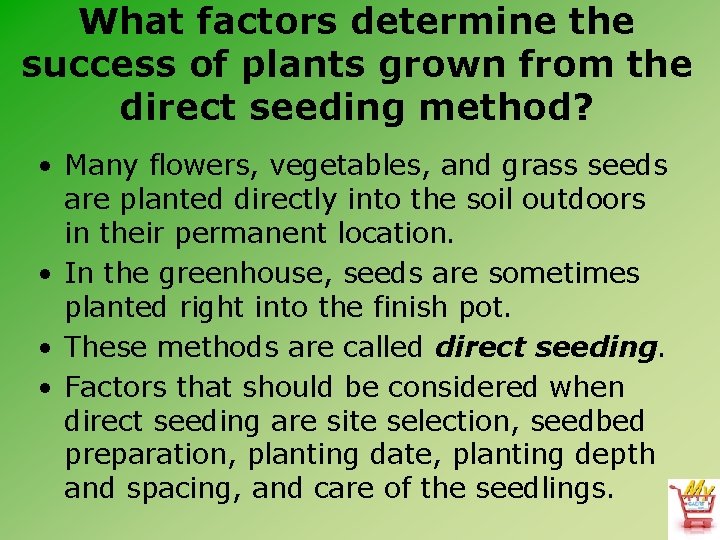 What factors determine the success of plants grown from the direct seeding method? •