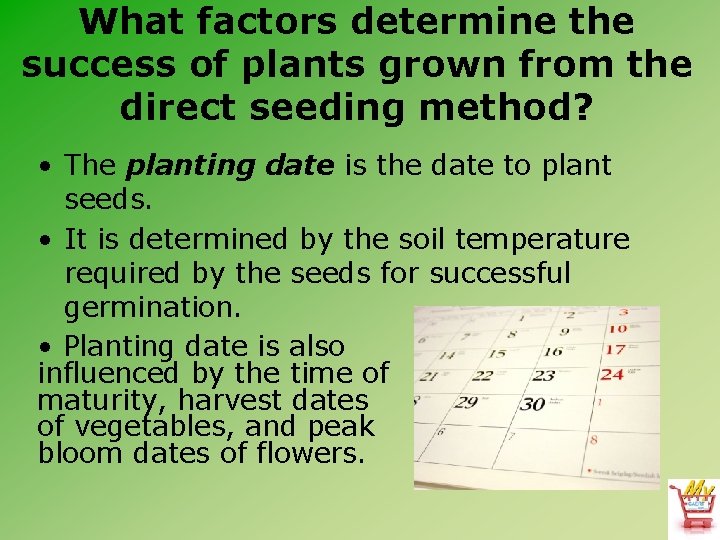 What factors determine the success of plants grown from the direct seeding method? •