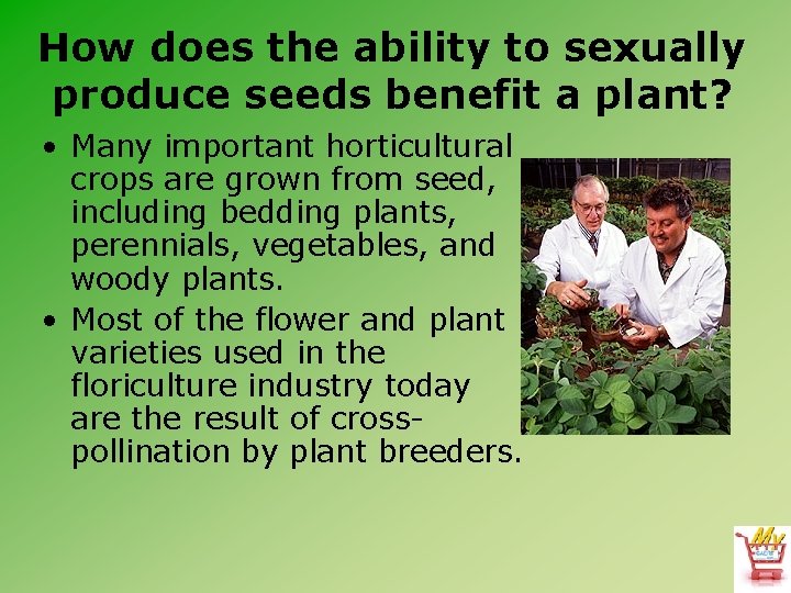 How does the ability to sexually produce seeds benefit a plant? • Many important