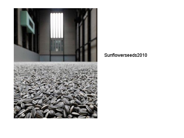 Sunflowerseeds 2010 