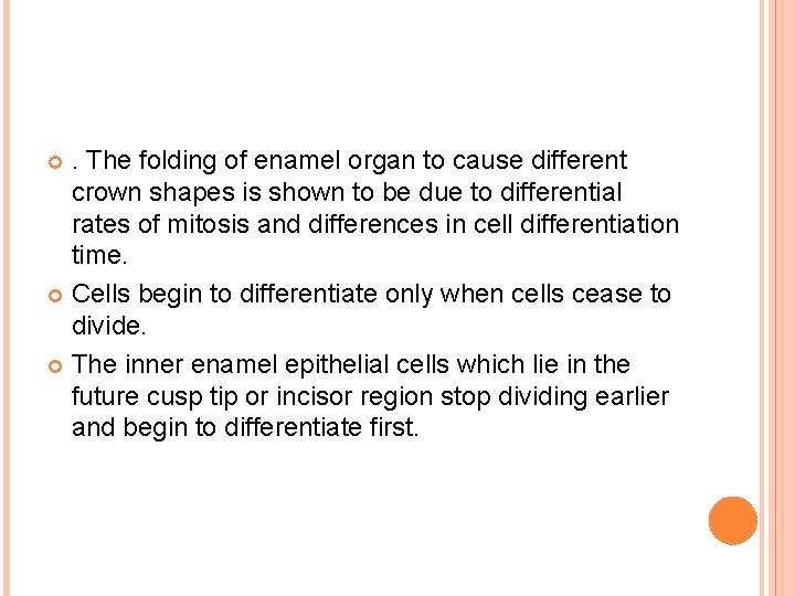 . The folding of enamel organ to cause different crown shapes is shown to