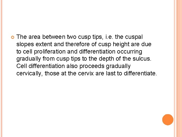  The area between two cusp tips, i. e. the cuspal slopes extent and