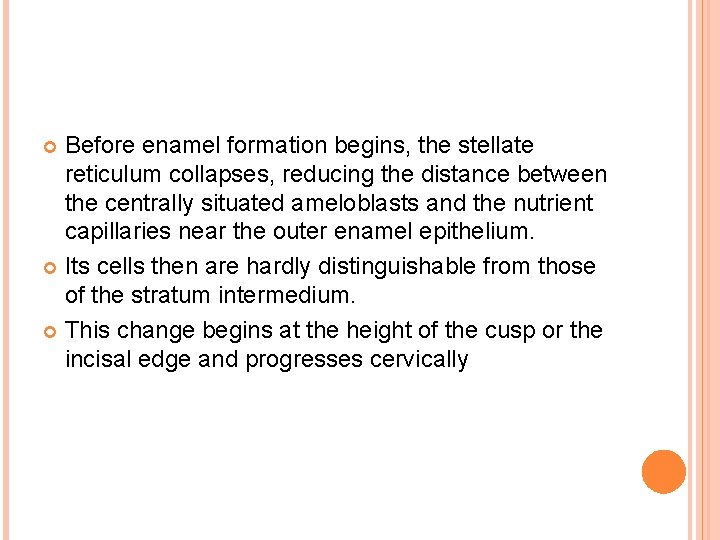 Before enamel formation begins, the stellate reticulum collapses, reducing the distance between the centrally