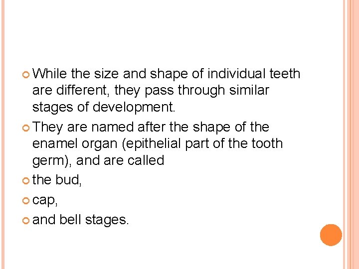  While the size and shape of individual teeth are different, they pass through