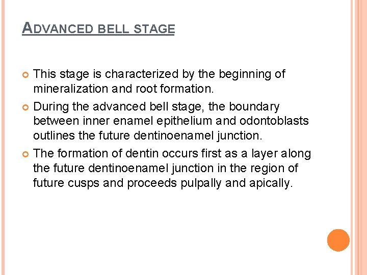 ADVANCED BELL STAGE This stage is characterized by the beginning of mineralization and root