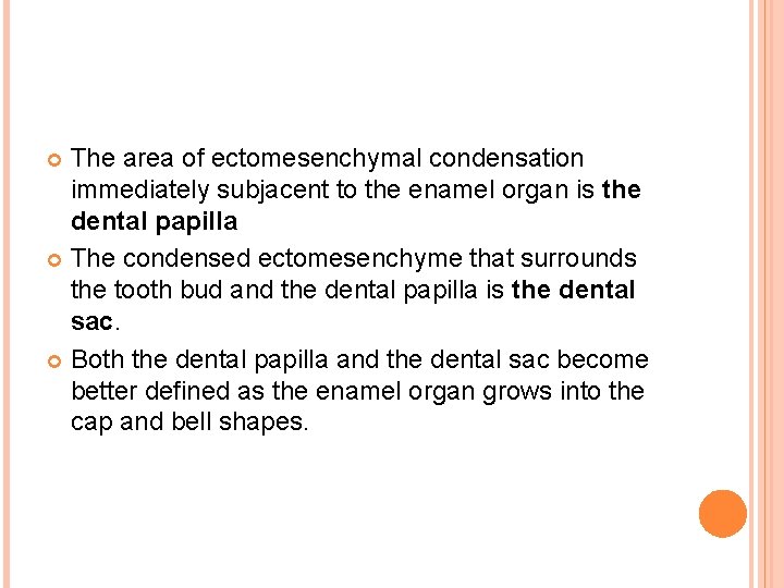 The area of ectomesenchymal condensation immediately subjacent to the enamel organ is the dental