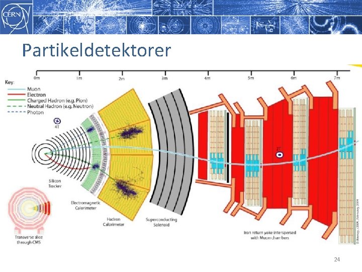 Partikeldetektorer 24 Partikeldetektorer 24