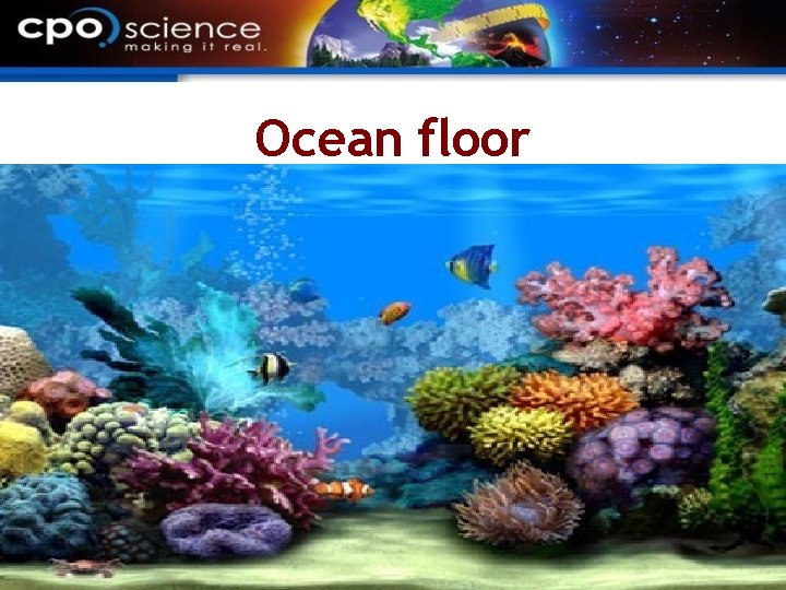 Ocean floor 
