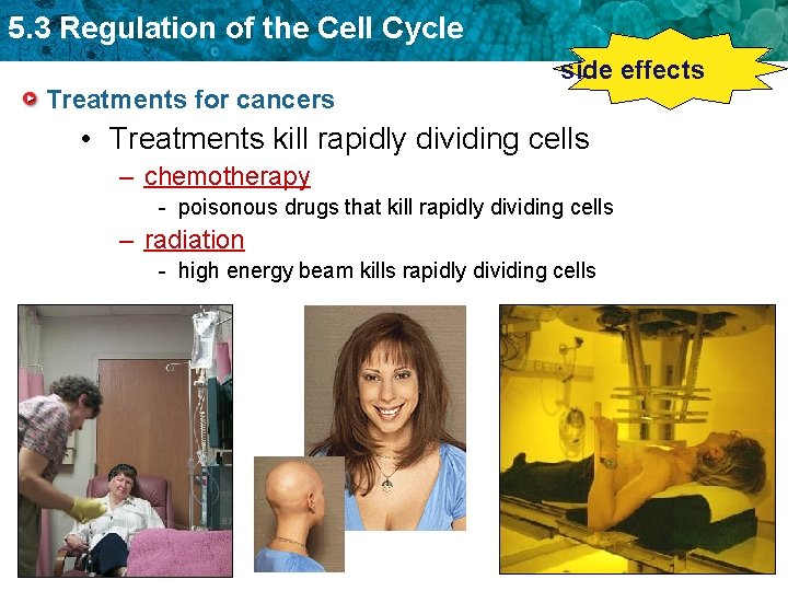 5. 3 Regulation of the Cell Cycle side effects Treatments for cancers • Treatments