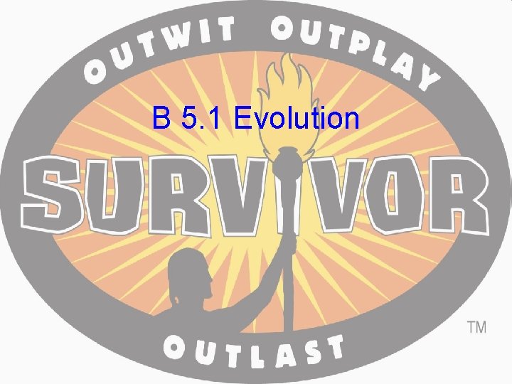 B 5. 1 Evolution 