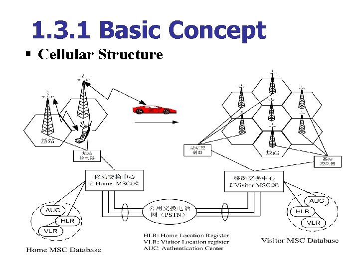 1. 3. 1 Basic Concept § Cellular Structure 