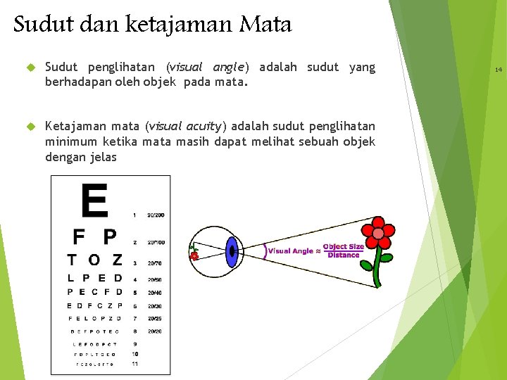 Sudut dan ketajaman Mata Sudut penglihatan (visual angle) adalah sudut yang berhadapan oleh objek