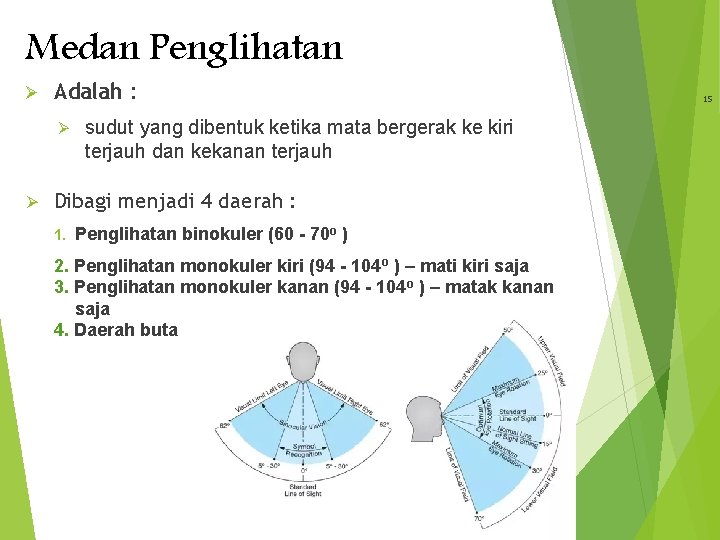 Medan Penglihatan Ø Adalah : Ø Ø sudut yang dibentuk ketika mata bergerak ke