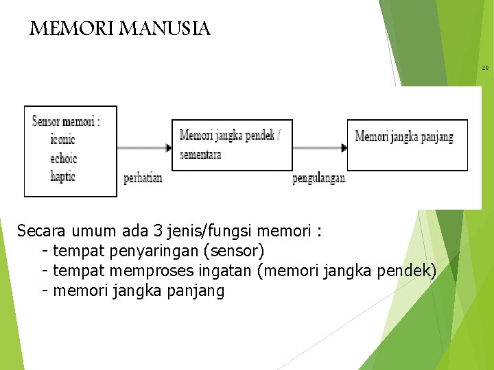 MEMORI MANUSIA 20 Secara umum ada 3 jenis/fungsi memori : - tempat penyaringan (sensor)