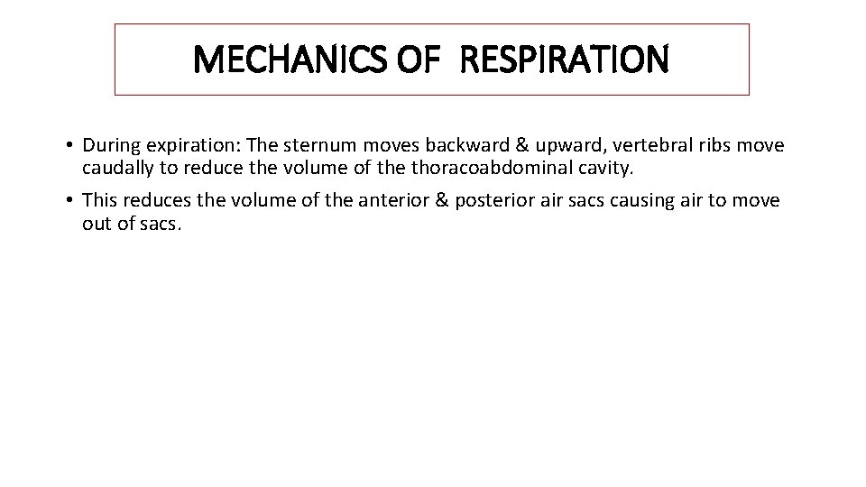 MECHANICS OF RESPIRATION • During expiration: The sternum moves backward & upward, vertebral ribs
