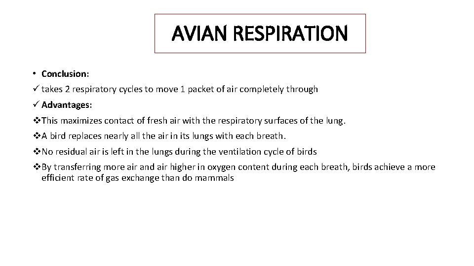 AVIAN RESPIRATION • Conclusion: ü takes 2 respiratory cycles to move 1 packet of