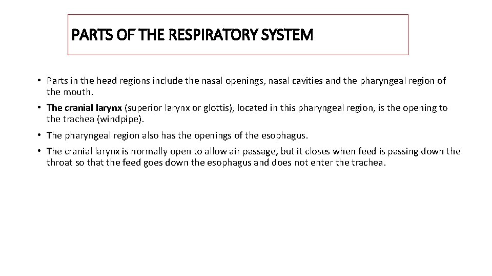 PARTS OF THE RESPIRATORY SYSTEM • Parts in the head regions include the nasal