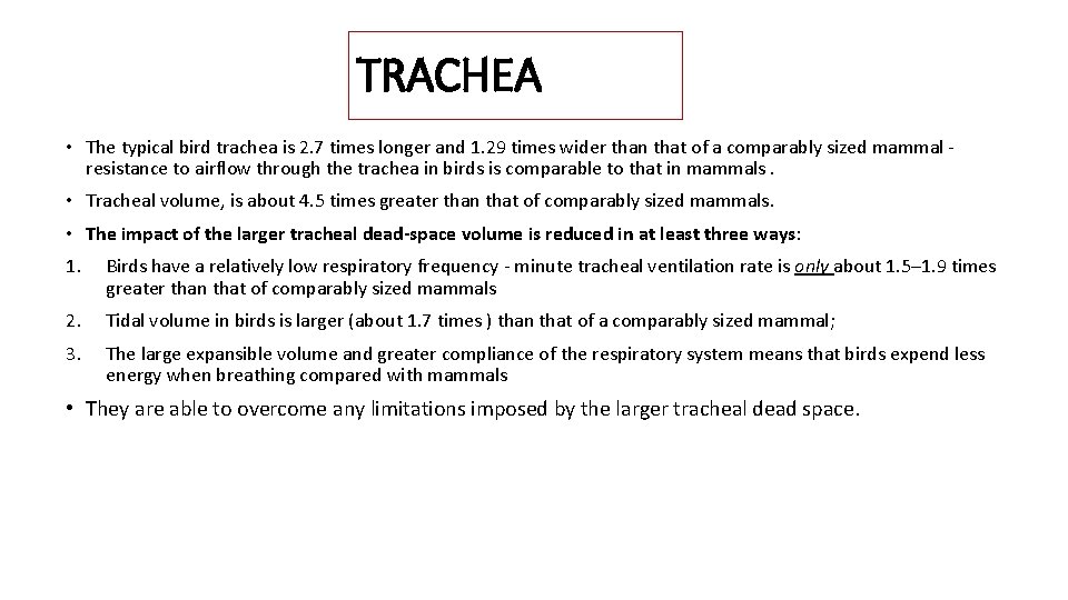 TRACHEA • The typical bird trachea is 2. 7 times longer and 1. 29