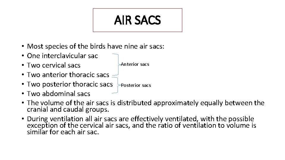 AIR SACS Most species of the birds have nine air sacs: One interclavicular sac