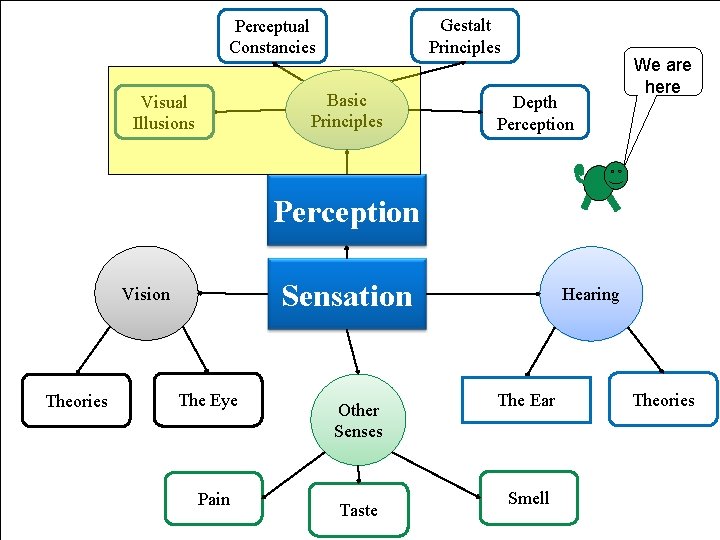 Gestalt Principles Perceptual Constancies Basic Principles Visual Illusions Depth Perception We are here Perception Gestalt Principles Perceptual Constancies Basic Principles Visual Illusions Depth Perception We are here Perception