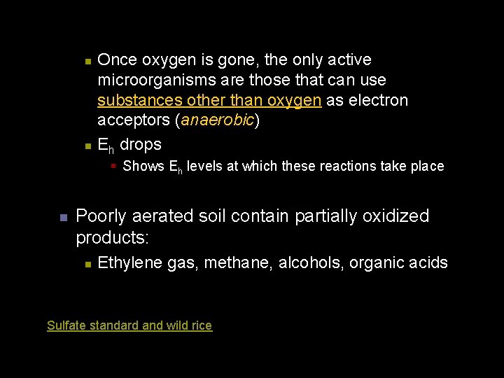 n n Once oxygen is gone, the only active microorganisms are those that can