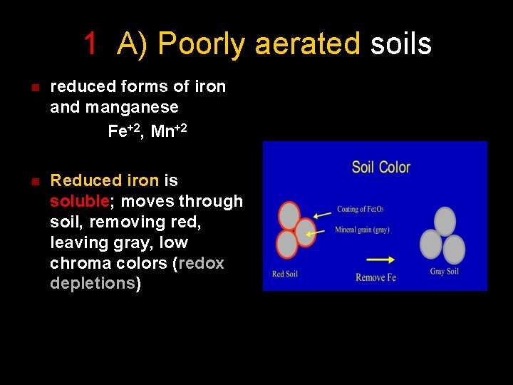 1 A) Poorly aerated soils n reduced forms of iron and manganese Fe+2, Mn+2